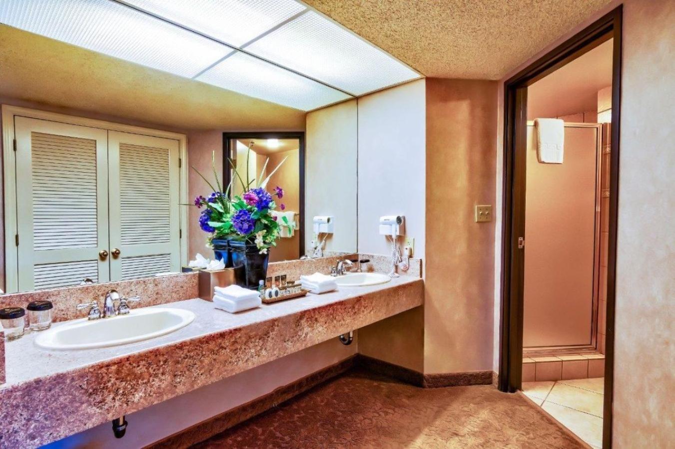 Petite Suite King Non-Smoking